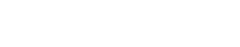 SAMPLE SEARCH